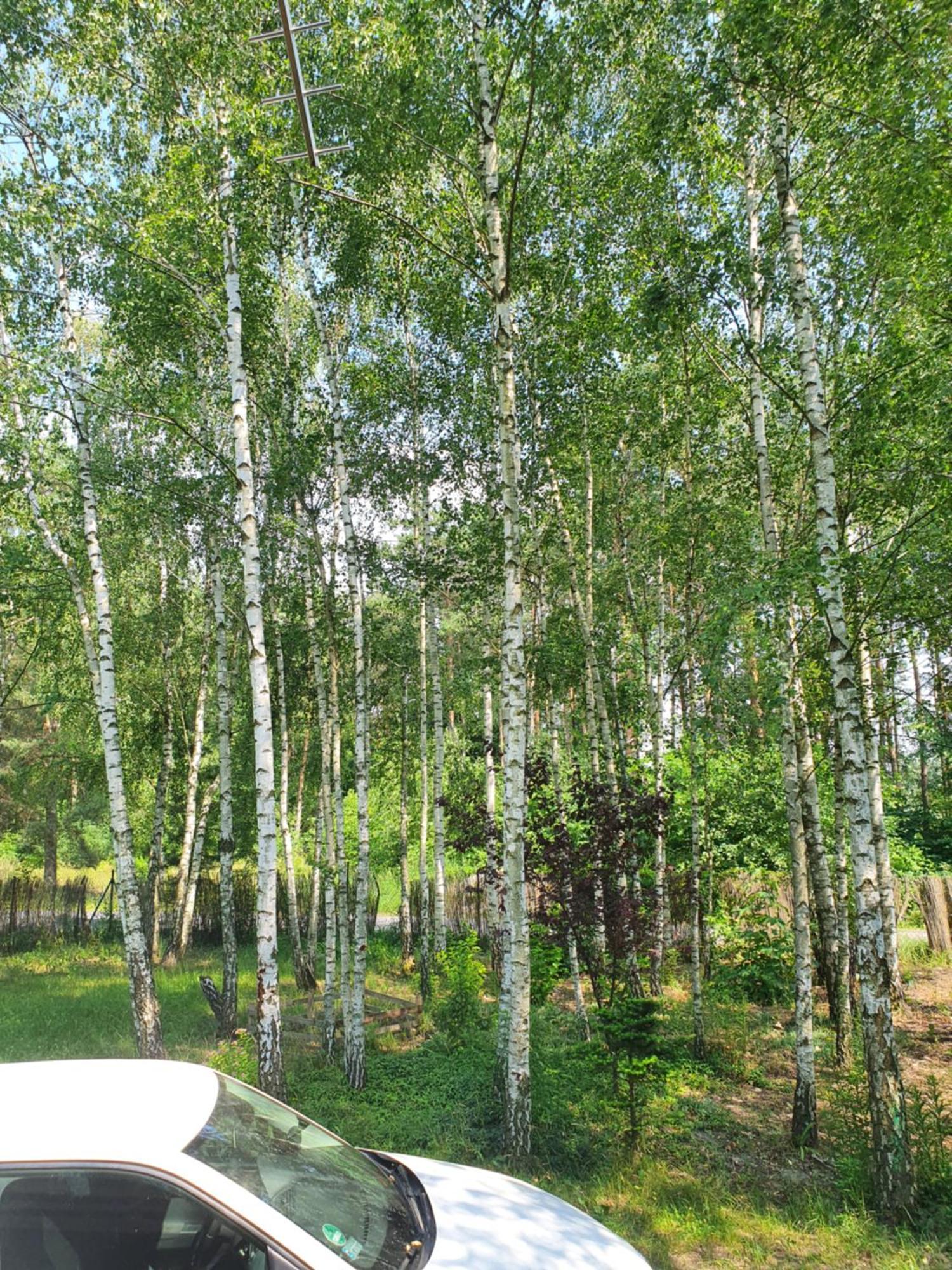 Letniskowy Villa *